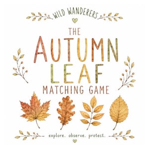 Könnte beinhalten: Eine quadratische Spielkarte mit dem Titel Wild Wanderers The Autumn Leaf Matching Game. Der Text ist von Aquarellillustrationen von Herbstblättern, Zweigen und Beeren in Orange-, Gelb- und Brauntönen umgeben. Unten steht explore. observe. protect.