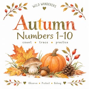 Puede incluir: Una impresión educativa estilo acuarela titulada Autumn Numbers 1-10, count, trace, practice. Presenta una calabaza, un hongo, una bellota, una piña y hojas de otoño. El texto Wild Wanderers y Observe, Protect, Belong enmarca el diseño.