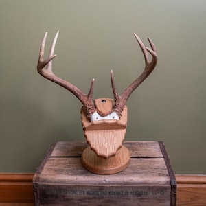 Adjustable Skull Plate Antler Mount &quot;Reversa Rack&quot;