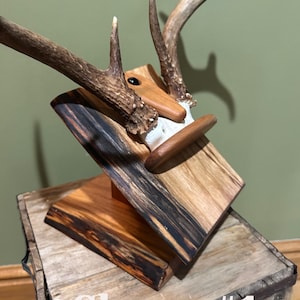 Puede incluir: Soporte de madera para cuernos de ciervo con base de madera de cerezo. El soporte presenta cuernos de ciervo naturales y una placa de madera con el texto "Cherry #1". La madera tiene tonos marrones claros y oscuros.