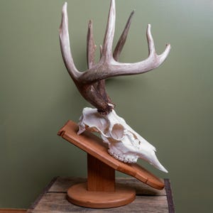 Adjustable European Mounting Antler Displays &quot;Reversa Rack&quot;