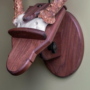 Adjustable Skull Plate Antler Mount Displays &quot;Adjusta Rack&quot; Pat Pending