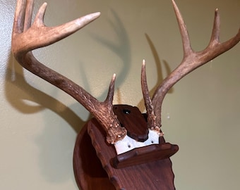 Deer Antler Skull Plate Mounting Plaque made from Walnut that Adjusts