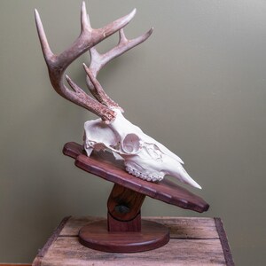 Adjustable European Mounting Antler Displays &quot;Adjusta Rack&quot; Pat Pending