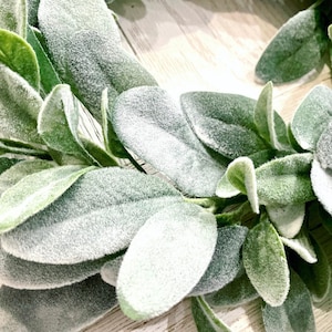 Pu&ograve; includere: Primo piano di una ghirlanda di orecchie di agnello finte con foglie verdi e una texture bianca e pelosa. La ghirlanda &egrave; perfetta per aggiungere un tocco di verde a qualsiasi spazio.