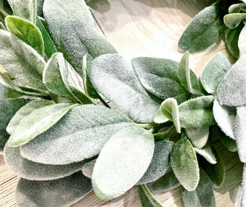 Pu&ograve; includere: Primo piano di una ghirlanda di orecchie di agnello finte con foglie verdi e una texture bianca e pelosa. La ghirlanda &egrave; perfetta per aggiungere un tocco di verde a qualsiasi spazio.