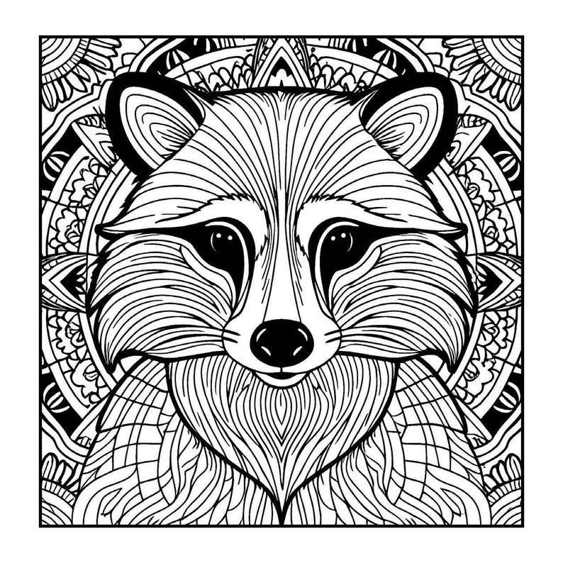Mandala Raccoon Mindful Moments Adult Coloring Book: Relaxation With Mandalas, Animals ...