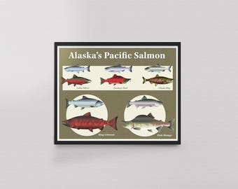 Alaska's Pacific Salmon 11x14" Framed Fine Art Print