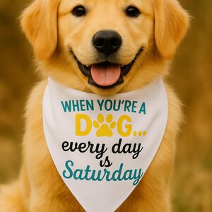 Fun Pet Bandana, Dog Accessory, Cute Puppy Gift, Doggie Fashion, Pet Birthday Party, Funny paw print pet scarf