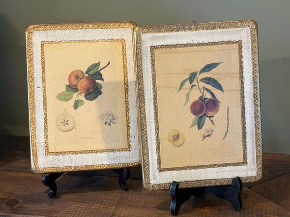 Pair of Beautiful Vintage Italian Florentine Wall Plaques With Fruit, Wall Art, Wall Hanging, Wall Plaque, Gallery Wall, Vintage Fruit