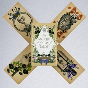 Antique Anatomy Oracle Tarot • 78‑Card Vintage Anatomy & Botanical Deck