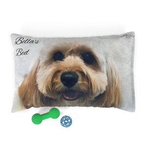 Op de afbeelding: Een rechthoekig hondenbed met een close-up van het gezicht van een hond en de tekst "Bella's Bed". Een groen haltervormig speeltje en een blauw balspeeltje liggen voor het bed. De hond heeft bruine vacht en een zwarte neus.