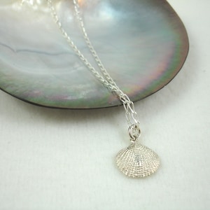Sterling shell pendant on sterling chain, tiny shell pendant in silver, beach jewelry