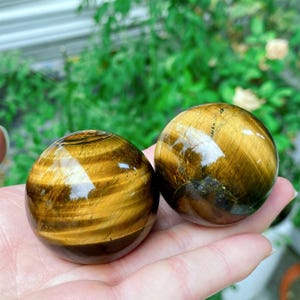 Op de afbeelding: Twee gepolijste tijgeroogsferen, goudbruin van kleur met wervelende patronen. De sferen worden in een hand gehouden, met een vage groene achtergrond van bladeren.