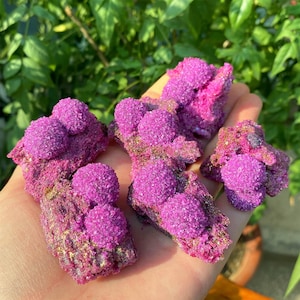 May include: Several vivid purple mineral specimens are displayed. The crystals have a rounded, clustered form, with a granular texture. The base rock has a mix of gold and brown tones, contrasting with the bright purple crystals. The background is a blurred green.