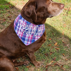 May include: A brown dog wearing a plaid bandana with the word "FREELOADER" in white script. The bandana has a blue, pink, and purple plaid pattern. The dog is sitting on green grass.