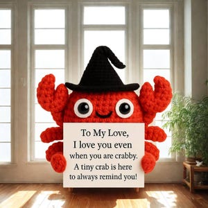Crochet Crab Gift, Handmade Amigurumi Animal for Him, Her, Boyfriend, Girlfriend, Cute Anniversary Birthday Present, Plush Toy Gift