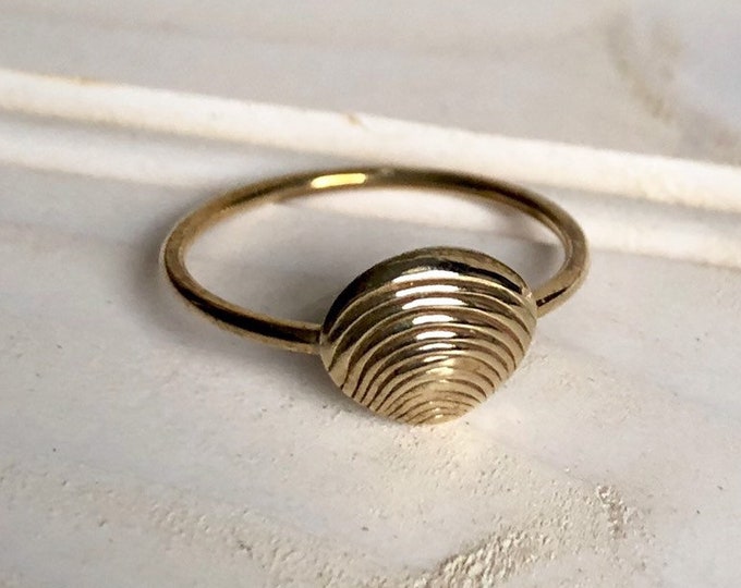 Shell Ring