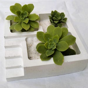 Peut inclure: Un pot en béton blanc avec quatre sections, chacune contenant une plante succulente verte. Le pot a un design en escalier sur un côté et est rempli de sable blanc.