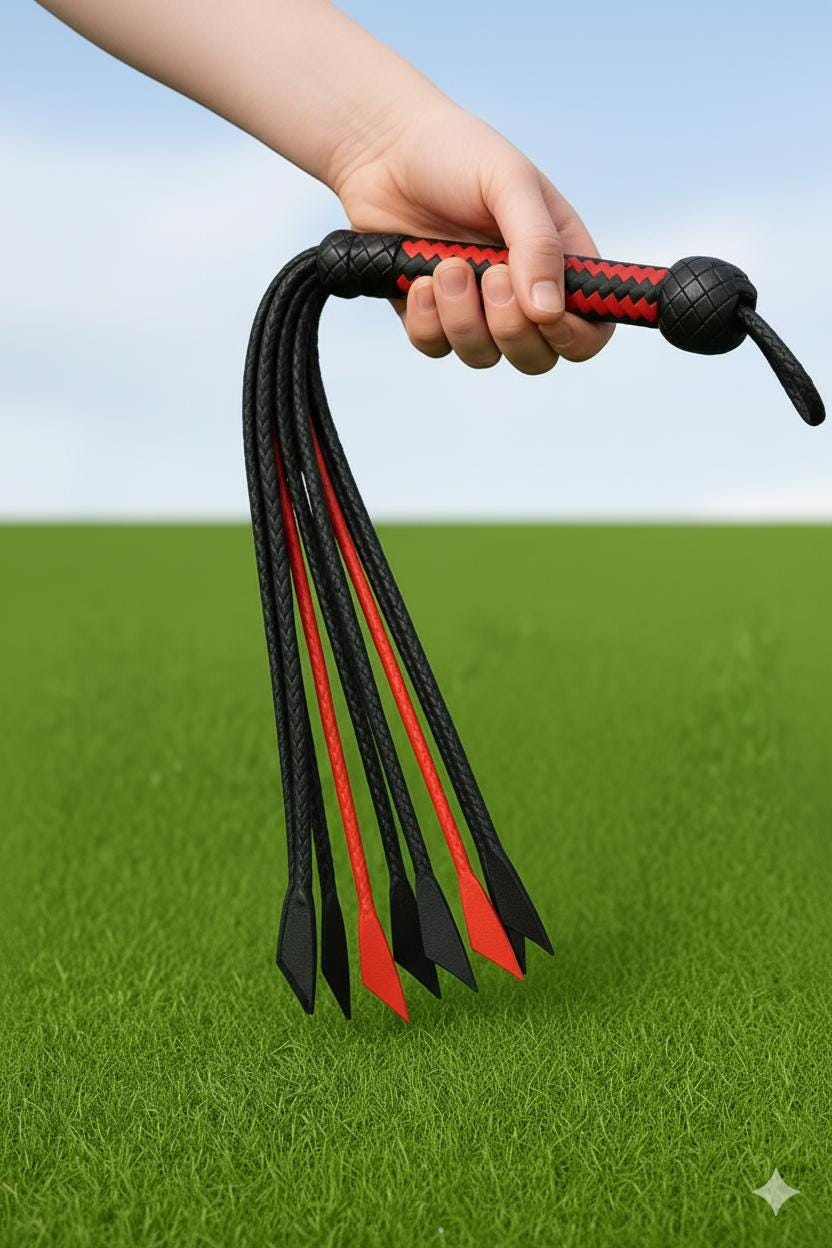 Cuir de vachette véritable, 10 pieds de long, 12 tressés, fouet robuste