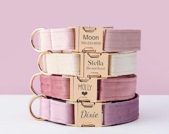 Best-Selling Dog Collars