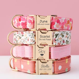 May include: Four stacked dog collars with gold-coloured hardware. The collars feature various pink and floral patterns. Each collar has a name and contact information engraved on the buckle. The background is a solid pink.