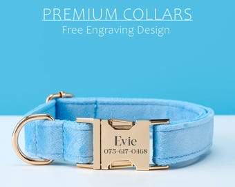 Luxury Blue Velvet Dog Collar, Leash Set with Bowtie, Customizable Puppy Collar with Engraved Name Buckle, Perfect Dog Gift