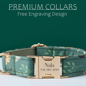 May include: A green dog collar with a floral pattern and gold-coloured hardware. The collar has the text "Nala" and a phone number engraved on the buckle. The text "PREMIUM COLLARS" and "Free Engraving Design" are at the top.