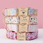 Pet Collars