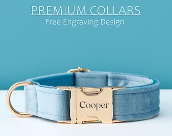 Blue Velvet Dog Collar and Leash Set, Personalized Adjustable Puppy Collar with Custom Engraved Nameplate, Perfect Gift for Dog Lovers