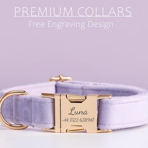 Op de afbeelding: Een lavendelkleurige hondenhalsband met een goudkleurige gesp en D-ring. De gesp is gegraveerd met de naam "Luna" en een telefoonnummer. De tekst "PREMIUM COLLARS" en "Free Engraving Design" staan bovenaan.