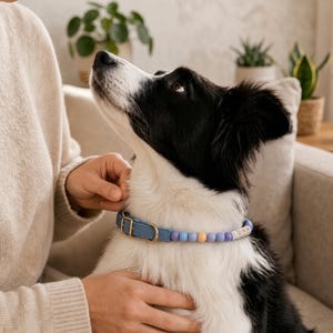 May include: A blue dog collar featuring a gold-toned metal buckle and a series of round, multi-colored beads in shades of purple, yellow, and blue. The collar includes a personalized rectangular bead with the name LUNA printed in black letters.