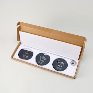 May include: A set of three dark gray slate pet memorial stones in a cardboard box. Each stone is engraved with a name and dates. The box is open, revealing the stones nestled in white foam.