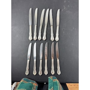 Può includere: Un set di dodici coltelli color argento con manici ornati. I coltelli sono disposti in due file da sei su una superficie scura. I manici presentano un design dettagliato, simile a fiori.