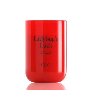 May include: A vibrant red candle with rounded edges. The text "Ladybug's Luck" is printed in black, along with "Spirit Animal Collection" and the brand logo "OJO". The candle is a solid, cylindrical shape.