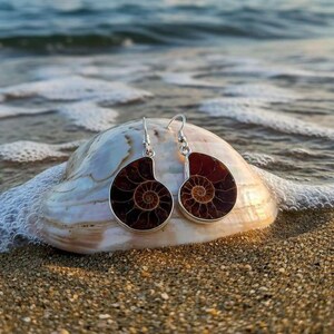 May include: A pair of silver-toned earrings featuring a fossilized ammonite design. The earrings have a dark brown and tan spiral pattern, set in a silver frame. The earrings are displayed on a seashell, with the ocean in the background.