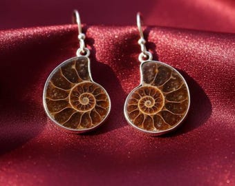 Ammonite Fossil Dangle Earrings, Sterling Silver, Boho Jewelry