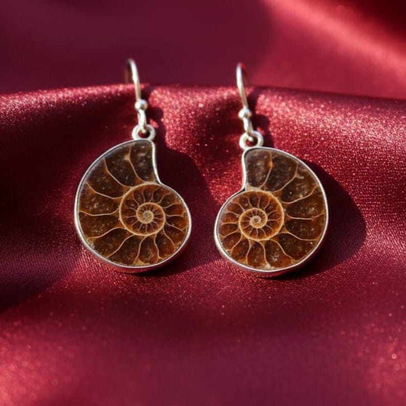 May include: A pair of fossilized ammonite earrings. Each earring features a polished, brown ammonite fossil set in a silver-colored metal frame. The earrings hang from silver-colored ear wires, showcasing the intricate spiral pattern.