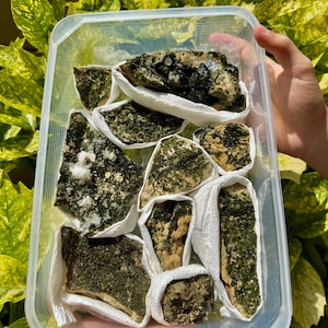 Gorgeous Druzy Epidote Quartz Cluster Set - Raw Natural Green Epidote Crystals for Healing, Growth & Abundance (10 Pc),Mineral,Gemstone,Raw