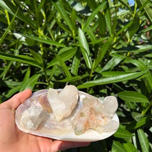 Natural Clear Quartz Crystal Cluster - Raw Unpolished Healing Gemstone Specimen for Home Decor & Metaphysical Use