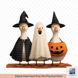 Boo Ghost Goose PNG, Halloween Goose PNG, Cute Witch Goose Clipart, Pumpkin Costume Goose, Funny Halloween Sublimation, Halloween PNG