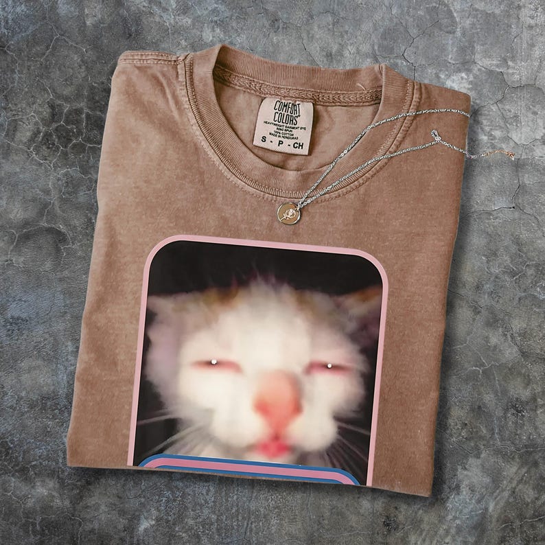 Puede incluir: Una camiseta Comfort Colors marr&oacute;n con un gr&aacute;fico de gato. La imagen del gato est&aacute; enmarcada con un borde rosa y azul. Un collar plateado con un peque&ntilde;o colgante descansa sobre la camisa. La camiseta es talla S y tiene un aspecto vintage lavado.
