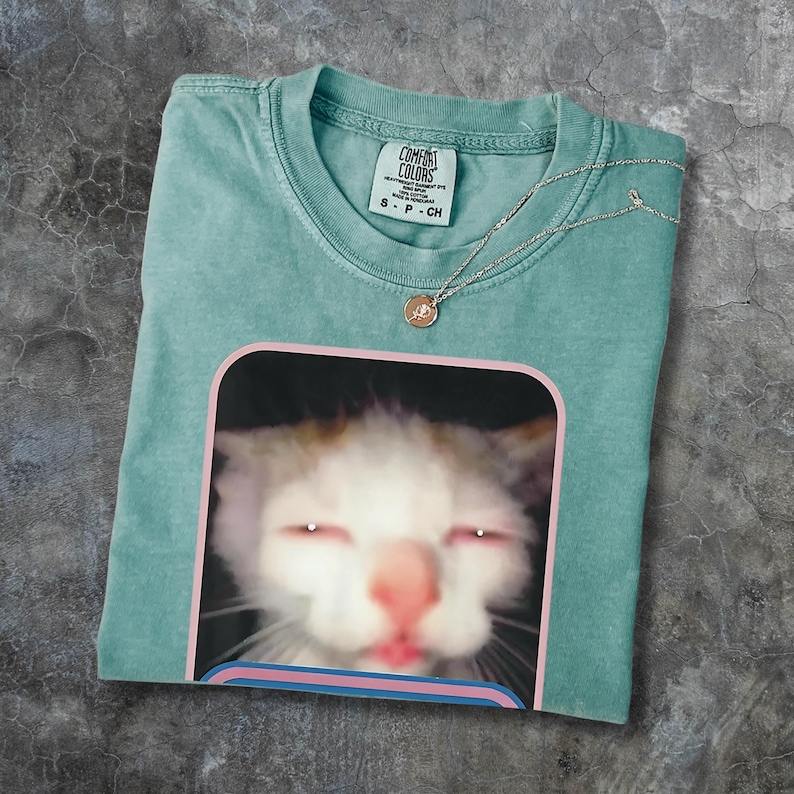 Puede incluir: Una camiseta Comfort Colors turquesa con un retrato de gato enmarcado en rosa y azul. El gato tiene pelaje blanco y naranja, con la lengua fuera. Un collar plateado con un peque&ntilde;o colgante descansa sobre la camiseta.