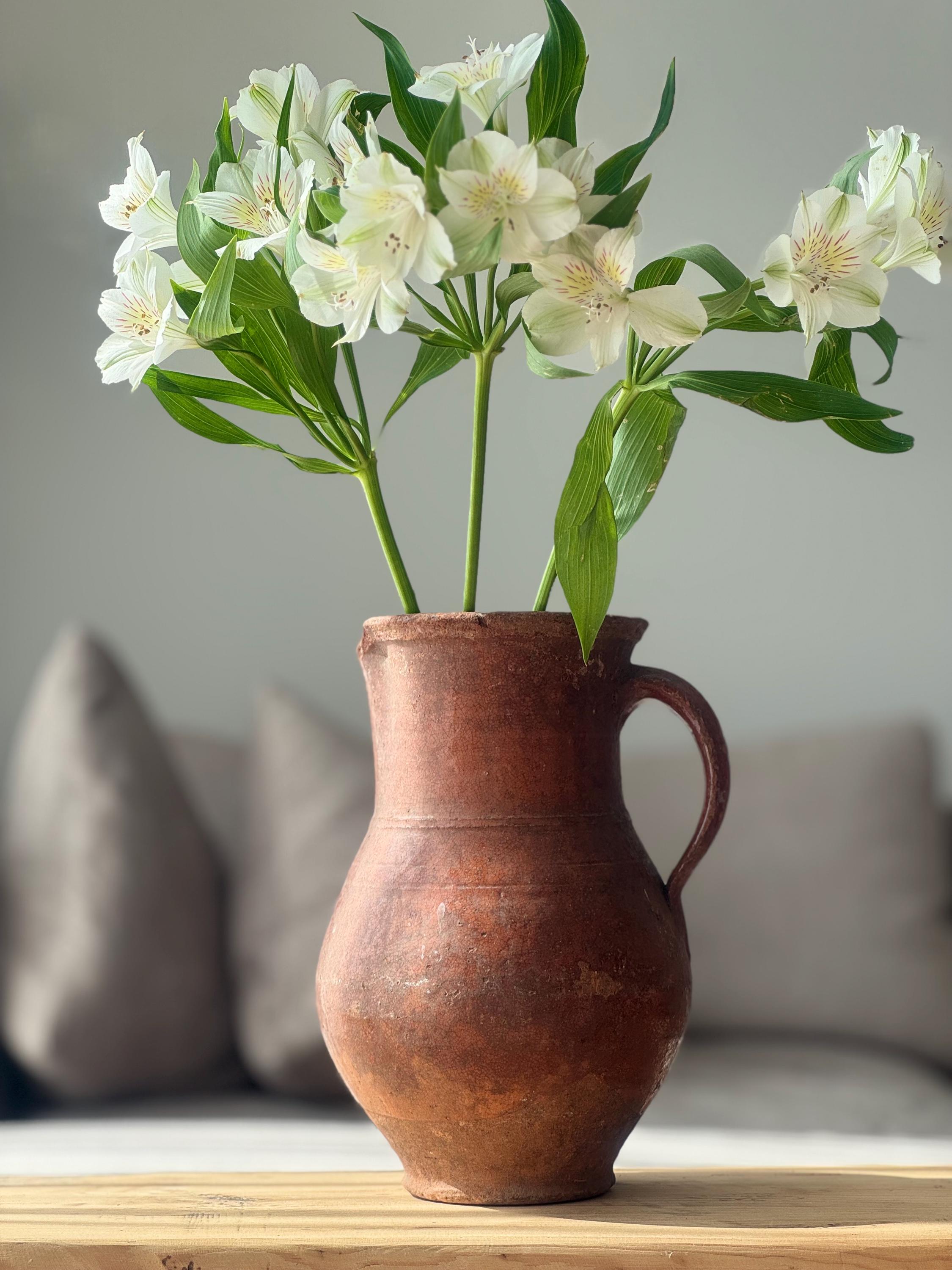 彩色陶器　テラコッタ 二口水差し　アンティーク 彩色陶器 テラコッタ 二口水差し アンティーク フランス