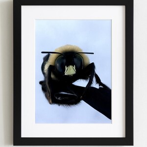 Bee Kind druckbare Kunst Kunst | 8 Inspirierende Zitate + Originale Naturfotografie | Frameable Verschenkbare Kunst | Digital Drucke on Demand