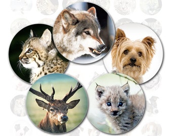 Animals Digital collage sheet flowers digital collage circle 1x1 round digital collage sheet 1 inch bottle cap image Bottle cap supply