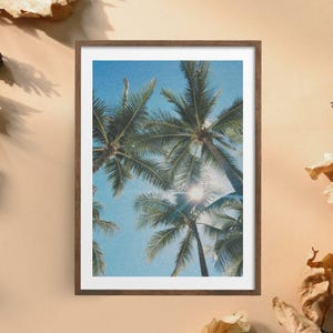 Palm Perspective – Tropical Palm Tree Sky Print, Minimalist Wall Art, Digital Download, Beach Photography Poster