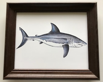 Great White Shark Art Print - Shark Ink Drawing - Giclee Print - Shark Wall Art - Shark Decor - Gift for him