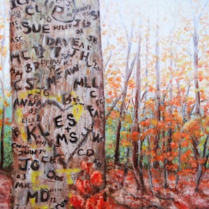 May include: A close-up of a tree trunk in a forest with many names and initials carved into the bark. The tree is surrounded by fall foliage in shades of red, orange, and yellow.