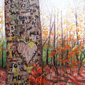 May include: A close-up of a tree trunk in a forest with carved initials and dates. The tree trunk is brown and has a heart carved into it. The forest is in the background and the leaves are turning red and orange.